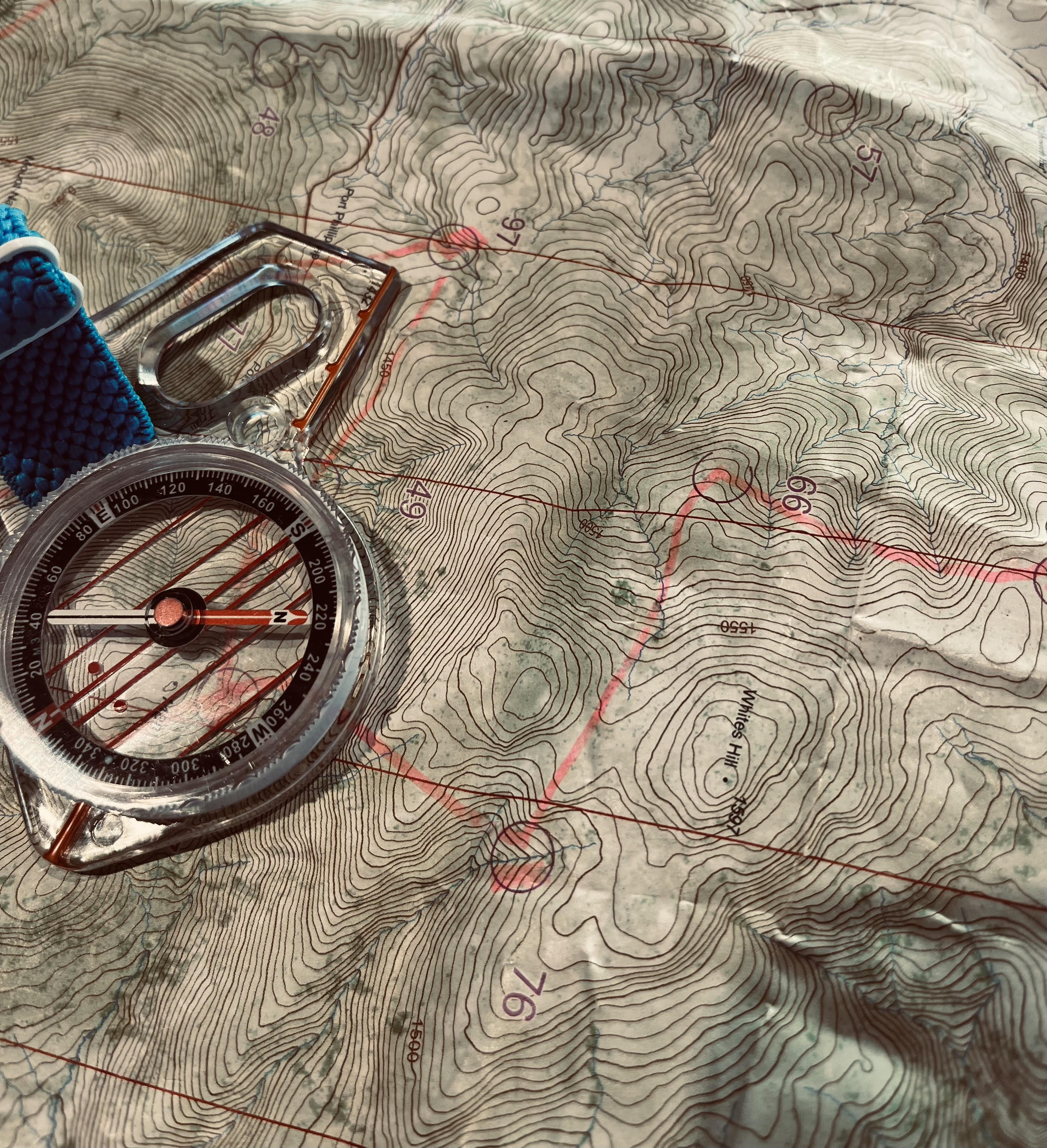 Online Navigation Coaching - 30min